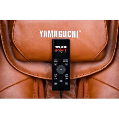 Yamaguchi YA-6000 Axiom (бело-рыжее) – изображение 4
